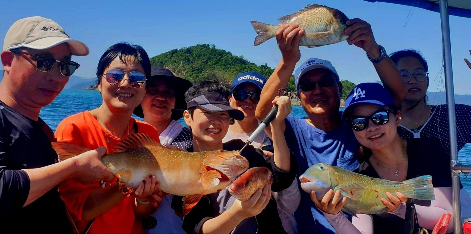 a1 fishing charters & tours whitsundays airlie beach qld